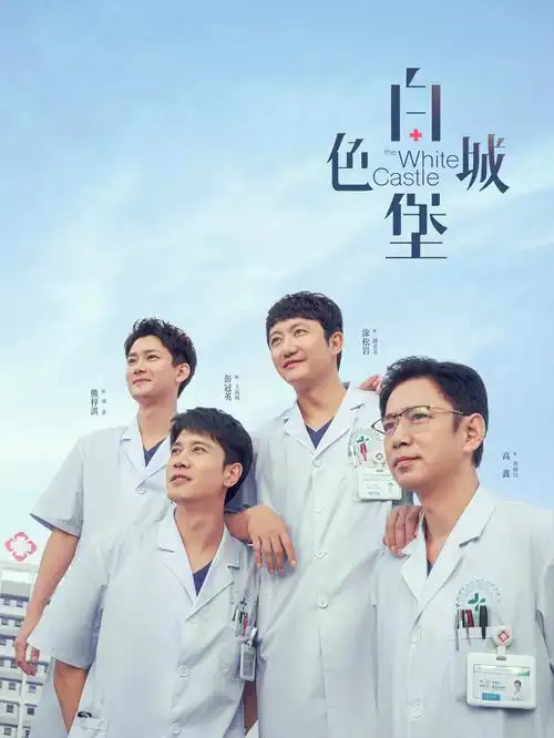 雾港迷踪热播电视剧全集手机观看